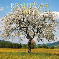 Bomen Kalender 2026 - thumbnail