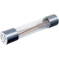Püschel Feinsicherungen FSUT4,0B FSUT4,0B Buiszekering (Ø x l) 6.3 mm x 32 mm 4 A 250 V Traag -T- Inhoud 10 stuk(s) - thumbnail