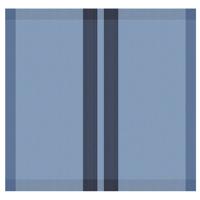 DDDDD theedoek baxter 60x65 denim - thumbnail