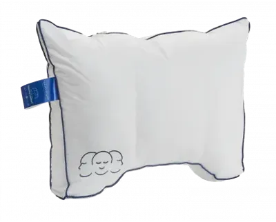 Silvana Comfort reiskussen