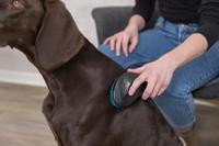 TRIXIE ZACHTE BORSTEL BLAUW - thumbnail