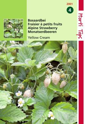 Zaden Bosaardbei - Yellow Cream Hortitops - Hortitops