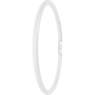 LEDVANCE LED-buis-Buis Energielabel: E (A - G) T5 21.5 W Warmwit 1 stuk(s) (Ø x l) 16.50 mm x 300.00 mm LEDVANCE LED-buis-Buis Energielabel: E (A - G) T5 21.5 W Warmwit 1 stuk(s) (Ø x l) 16.50 mm x 300.00 mm