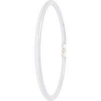 LEDVANCE LED-buis-Buis Energielabel: E (A - G) T5 21.5 W Warmwit 1 stuk(s) (Ø x l) 16.50 mm x 300.00 mm - thumbnail