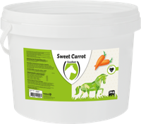 Sweet Carrot Blocks - thumbnail