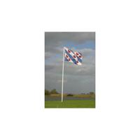 Vlag Friesland 20x30 cm - thumbnail