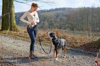 Hunter Belt pouch with anti-jerk leash Jasper Grijs, Rood Hond Handsfree riem - thumbnail