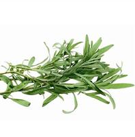 Dragon zaden Artemisia Dracunculus - thumbnail