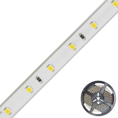 EVN EVN Lichttechnik STR6724302840 LED-strip Energielabel: F (A - G) Met open kabeleinde 24 V 5 m Neutraalwit 1 stuk(s)