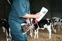 Kalver Speedy Drencher Rood 4 l - thumbnail