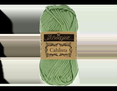Scheepjes Cahlista 50g - 212 Sage Green