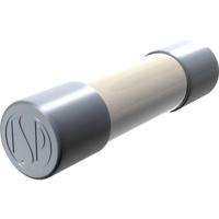 Püschel Feinsicherungen FSUT1,6A FSUT1,6A Buiszekering (Ø x l) 6.3 mm x 32 mm 1.6 A 500 V Traag -T- Inhoud 10 stuk(s) - thumbnail