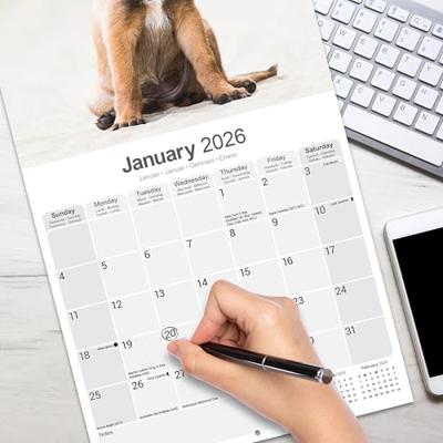 Belgische Herder Kalender 2026 Belgische Herder Kalender 2026