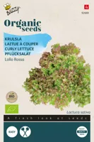 Zaden Organic Krulsla Lollo rossa (BIO) Buzzy - Buzzy - thumbnail