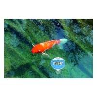 TFA Dostmann Marbella 30.3066.01 Zwembadthermometer Zwart - thumbnail