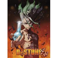 Poster Dr Stone - Senku 38x52cm - thumbnail