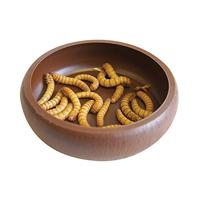 KOMODO MEELWORM SCHAALTJE - thumbnail
