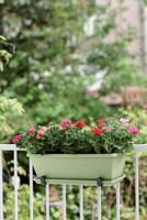 Elho Barcelona trough balkonbak 70 pistachio green - thumbnail