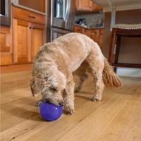 Outward Hound Orbee-Tuff Snoop M Paars - thumbnail