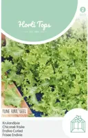 Zaden Andijvie Altijd Witte Hortitops - Hortitops - thumbnail