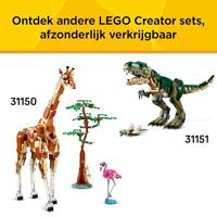 LEGO creator 31161 middeleeuwse draak - thumbnail