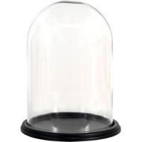 Clayre Eef - thumbnail