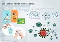 Fa Handzeep Honey Rose 250ml - thumbnail