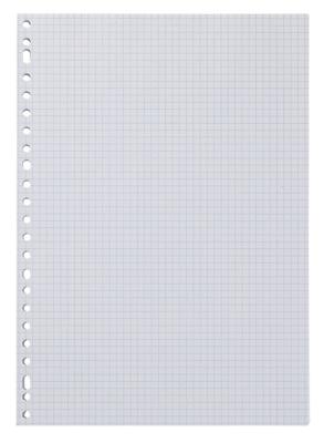 HEMA Ringbandpapier geruit 5x5mm - 100 stuks