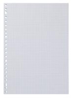 HEMA Ringbandpapier geruit 5x5mm - 100 stuks - thumbnail