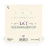 D&apos;Addario EJS57 Stainless Steel Custom Medium 11-22 snaren voor vijfsnarige banjo - thumbnail