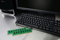 Kingston Geen extra informatie beschikbaar. Werkgeheugenmodule voor PC DDR4 16 GB 1 x 16 GB Non-ECC 3200 MHz 288-pins DIMM CL22 KCP432ND8/16 - thumbnail
