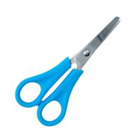 SES rechtshandige schaar - thumbnail