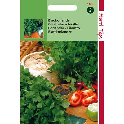 Zaden Koriander fijnzadig traagschietend Hortitops - Hortitops