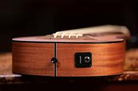 Ortega LIZZY-BSFL-GB Lizard Series Short Scale Uke Bass Natural fretloze E/A bas ukelele met gigbag - thumbnail