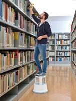 Rolkruk staalplaat rood hoogte met/zonder belasting 430/440 mm bovenste d. 295 m - thumbnail