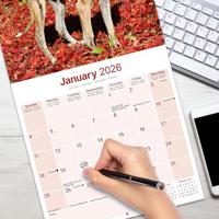 Greyhound Kalender 2026 - thumbnail