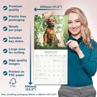 Rhodesian Ridgeback Kalender 2026 - thumbnail