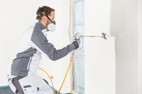 Wagner Powerpainter Pp90 Extra Skid Verfspuitmachine - thumbnail