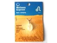 Ruben Robijn Sterrenbeeldhanger leeuw (1 st) - thumbnail