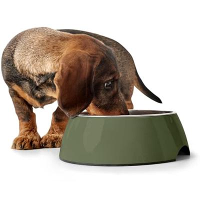 Voerbak voor honden Hunter Groen 350 ml