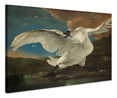 Schilderij - Jan Asselijn, De bedreigde zwaan, ca.1650, 70x60cm.