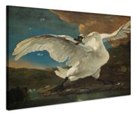 Schilderij - Jan Asselijn, De bedreigde zwaan, ca.1650, 70x60cm. - thumbnail