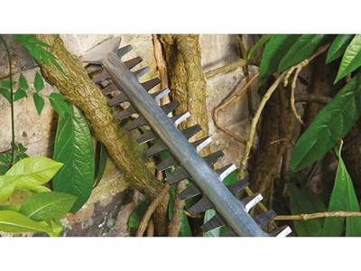 Bosch Groen AdvancedHedgeCut 65 | Heggenschaar | 500W - 06008C0801 - thumbnail