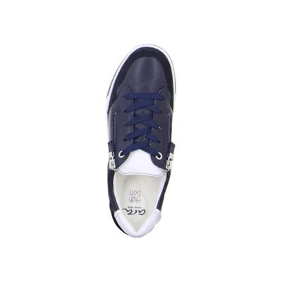 Ara 1234423 - alle Ara 1234423 - alle