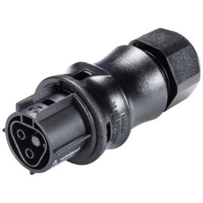 Wieland Electric 96.021.4053.1 Ronde connector Koppeling, recht Totaal aantal polen: 2 Serie (ronde connectoren): RST® CLASSIC 1 stuk(s) Wieland Electric 96.021.4053.1 Ronde connector Koppeling, recht Totaal aantal polen: 2 Serie (ronde connectoren): RST® CLASSIC 1 stuk(s)
