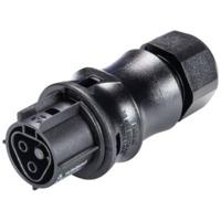 Wieland Electric 96.021.4053.1 Ronde connector Koppeling, recht Totaal aantal polen: 2 Serie (ronde connectoren): RST® CLASSIC 1 stuk(s) - thumbnail