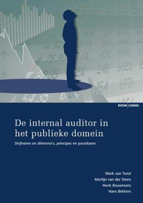 De internal auditor in het publieke domein (Paperback)