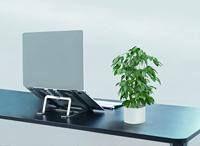 Neomounts NSLS085SILVER Laptopstandaard In hoogte verstelbaar - thumbnail