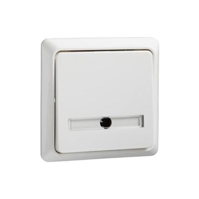 ELSO-toets 506124 42 V/1 A inbouw RENOVATIE rw 1 stuk(s) ELSO-toets 506124 42 V/1 A inbouw RENOVATIE rw 1 stuk(s)