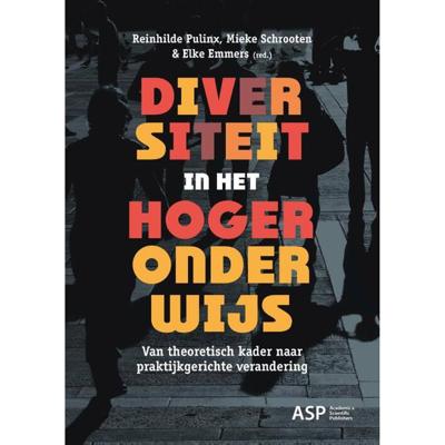 Diversiteit in het hoger onderwijs (Paperback)